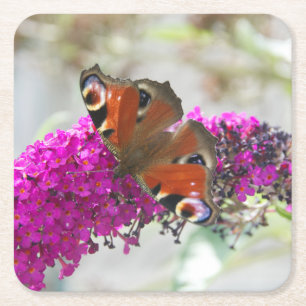 Butterfly Square Paper Coaster
