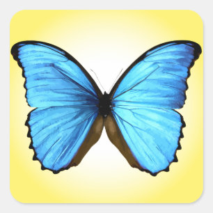 Butterfly Square Sticker
