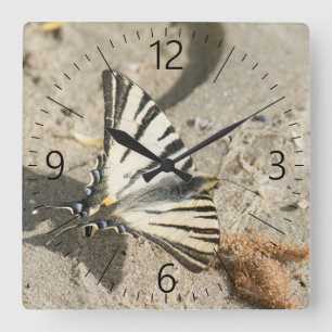 Butterfly Square Wall Clock