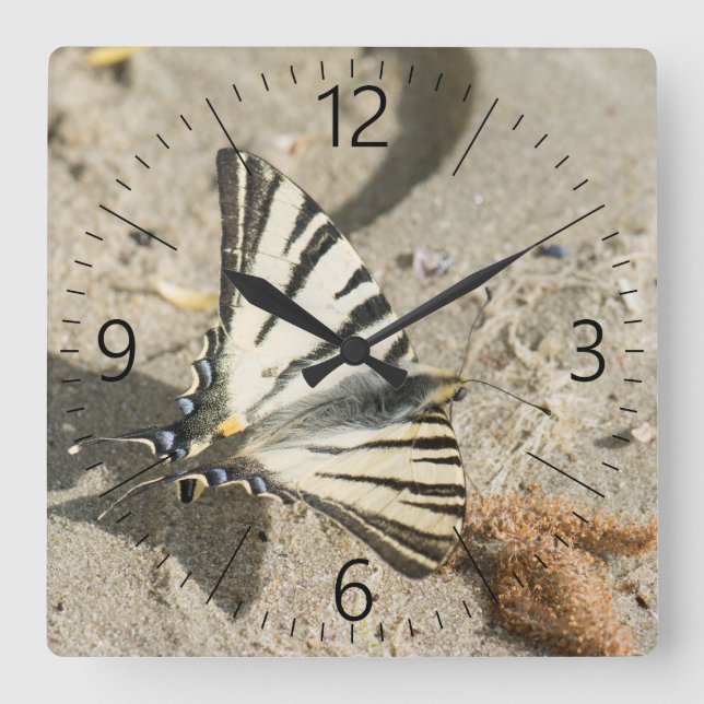 Butterfly Square Wall Clock (Front)