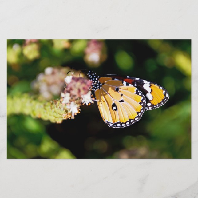 Butterfly Stationery (Front)
