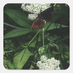 Butterfly Sticker