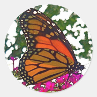 Butterfly Sticker