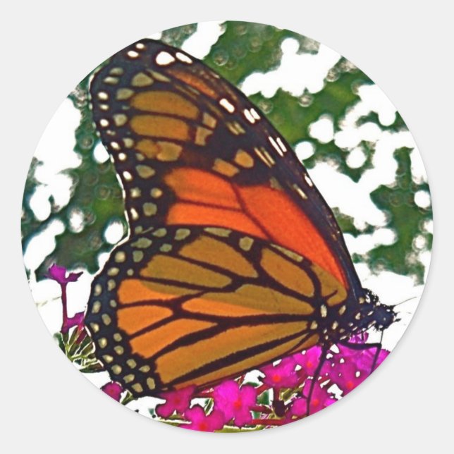 Butterfly Sticker (Front)