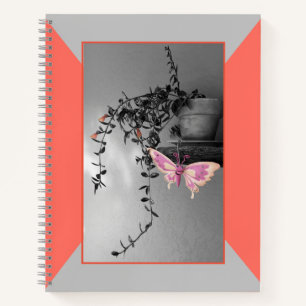 Butterfly Still Life Pink Peach Monochrome Photo Notebook