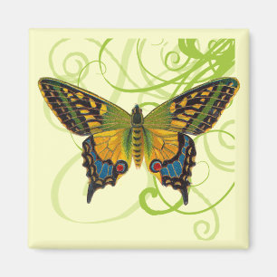 Butterfly Swirls Magnet