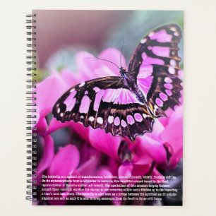 Butterfly Symbolism Calendar Planner