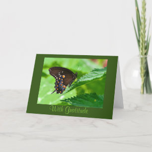 Butterfly Thank You Card