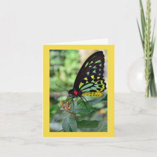 Butterfly Thank-You Note Card