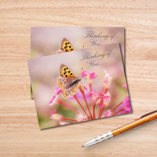 Butterfly Thinking Of You  Postcard (Creator Uploaded)