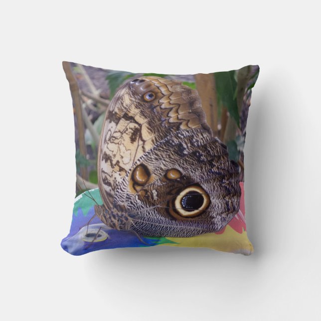 Butterfly  Throw Pillow (Front)