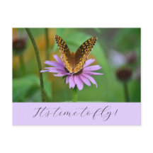Butterfly Time for New Life Adventures Postcard