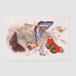 Butterfly Tissue Paper