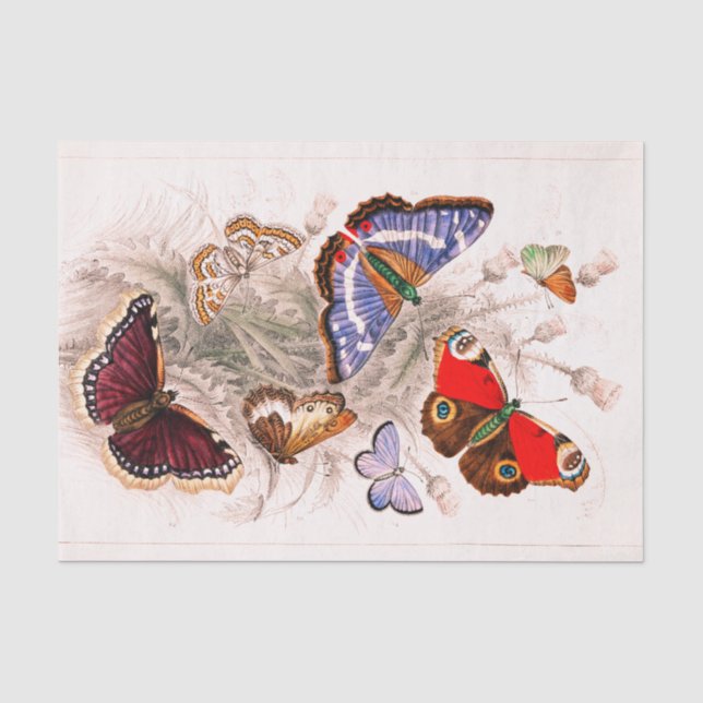 Butterfly Tissue Paper (Front)