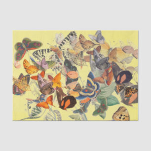 BUTTERFLY TISSUE PAPER IN YELLOW