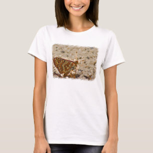 Butterfly Tshirt