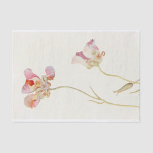 Butterfly Tulip by Margaret Armstrong Tissue Paper