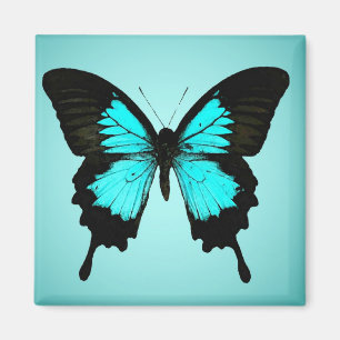 Butterfly - turquoise blue and black magnet