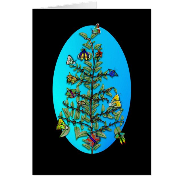 BUTTERFLY  VARIETY (Front)