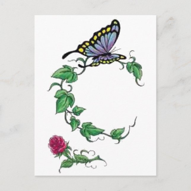 butterfly vine rose postcard (Front)