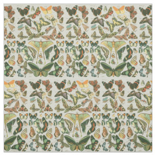 Butterfly Vintage Antique Butterflies Art Fabric