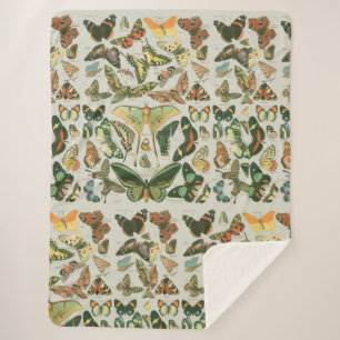 Butterfly Vintage Antique Butterflies Art Sherpa Blanket