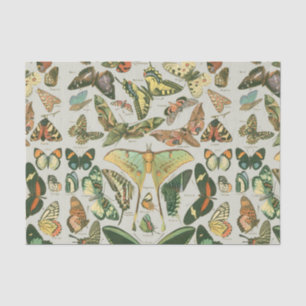 Butterfly Vintage Antique Butterflies Art Tissue Paper