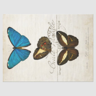 Butterfly Vintage French Carte Postale Decoupage Tissue Paper