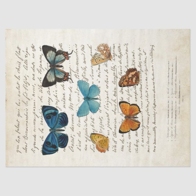Butterfly Vintage French Script Vintage Decoupage Tissue Paper (Front)
