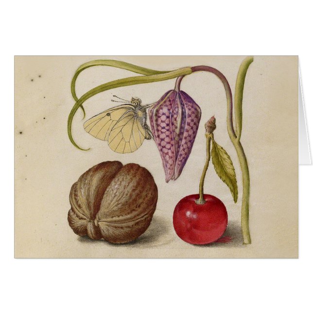 Butterfly Walnut Flower Cherry Watercolor Art (Front Horizontal)