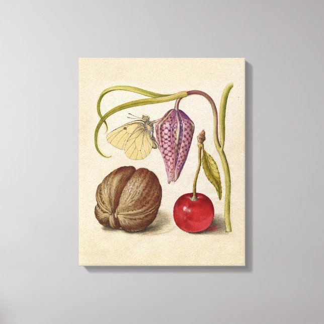 Butterfly Walnut Flower Cherry Watercolor Art Canvas Print (Front)