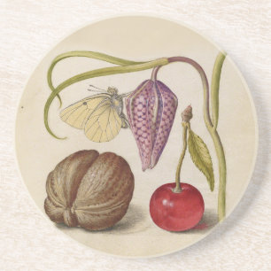 Butterfly Walnut Flower Cherry Watercolor Art Coaster