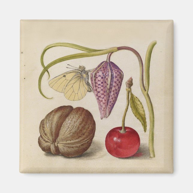 Butterfly Walnut Flower Cherry Watercolor Art Magnet (Front)