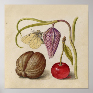 Butterfly Walnut Flower Cherry Watercolor Art Poster