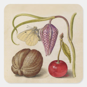 Butterfly Walnut Flower Cherry Watercolor Art Square Sticker