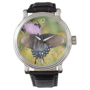 Butterfly Watch