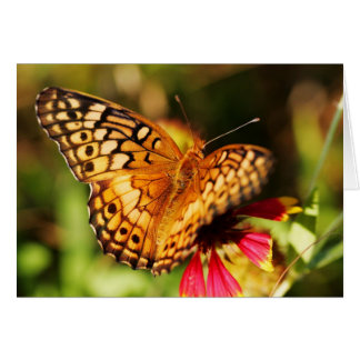 Butterfly & Wildflower