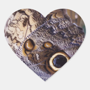 Butterfly Wing Heart Sticker