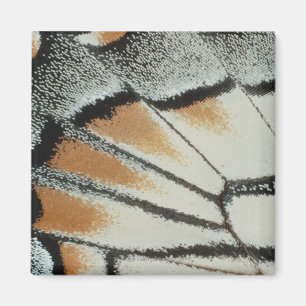 Butterfly Wing Magnet