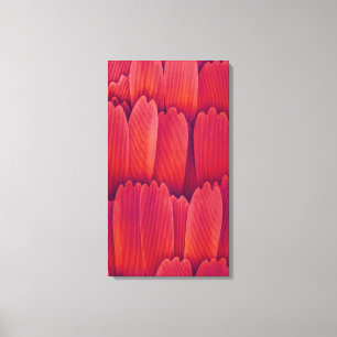 Butterfly Wing Scales Canvas Print