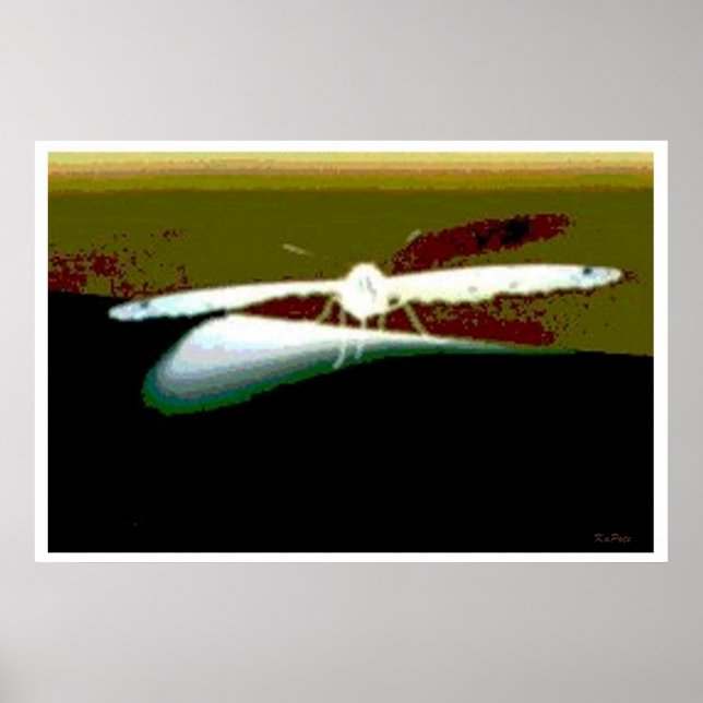 Butterfly Wings Abstract Poster (Front)