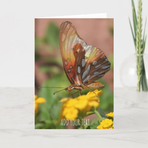 Butterfly Wings - Butterfly Love Holiday Card