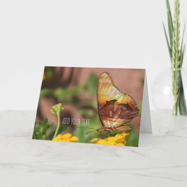 Butterfly Wings - Butterflys & Dolphins Holiday Card (Front)