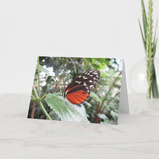Butterfly wings card