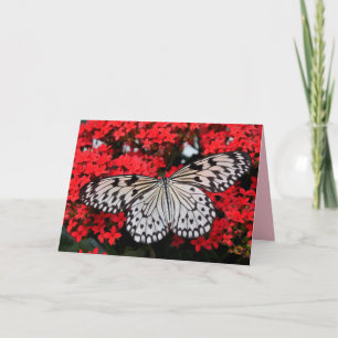 butterfly wings greeting card