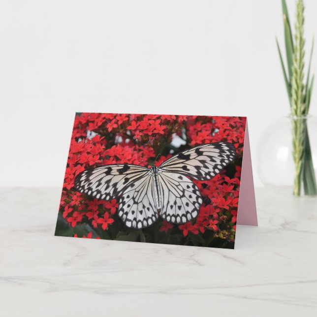 butterfly wings greeting card (Front)