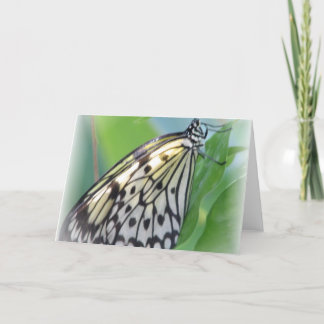 Butterfly Wings Greeting Card