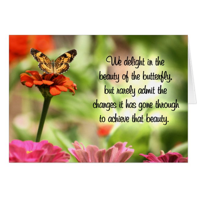 Butterfly Wisdom: Going Through Changes (Front Horizontal)
