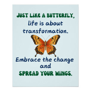 Butterfly Wisdom:  Poster