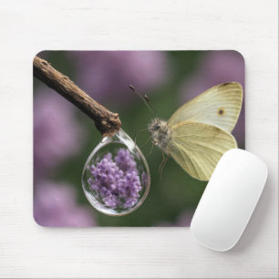 Butterfly with a Raindrop Mouse Pad